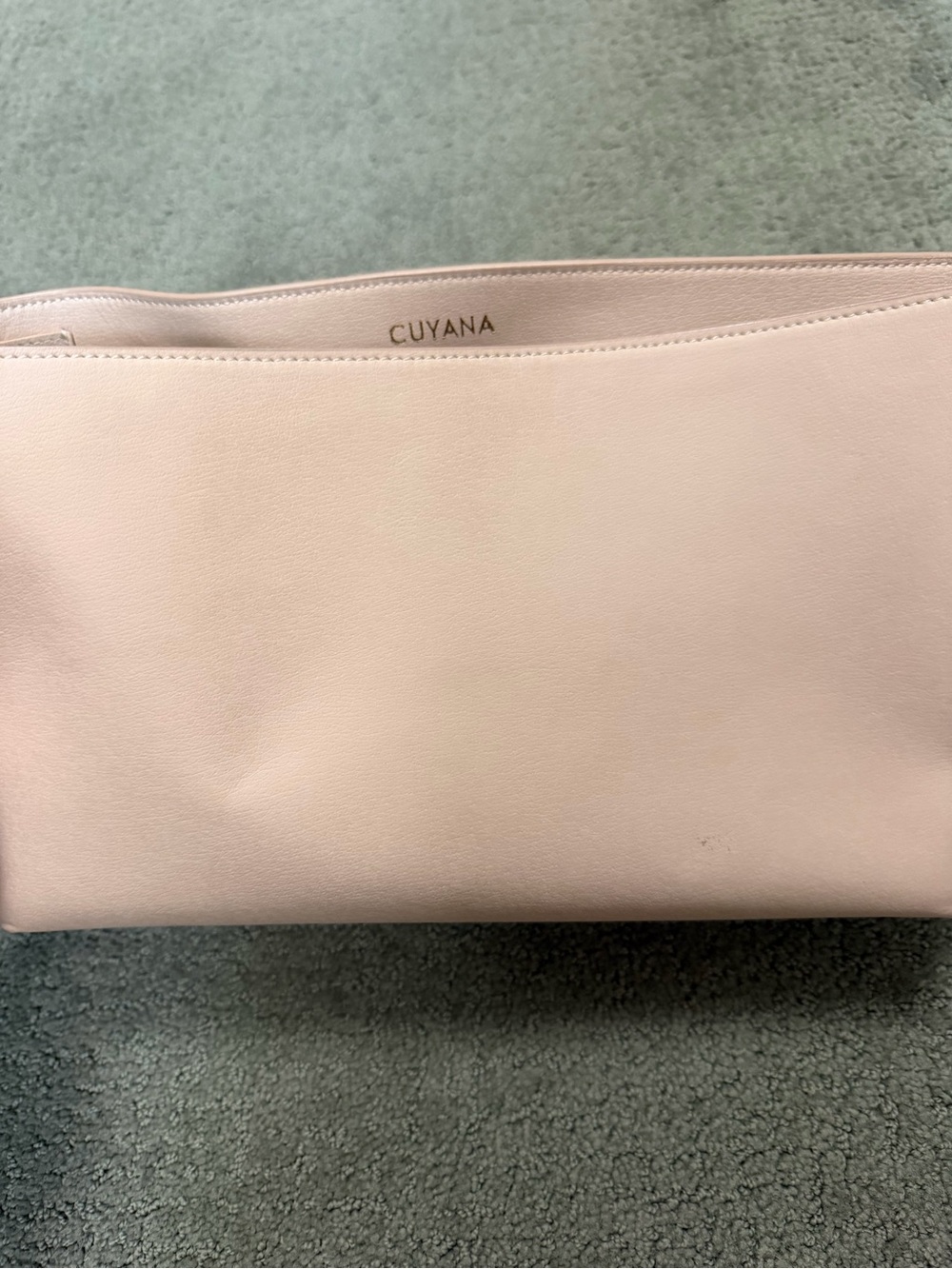 Cuyana Pale Blush Leather tote organizer